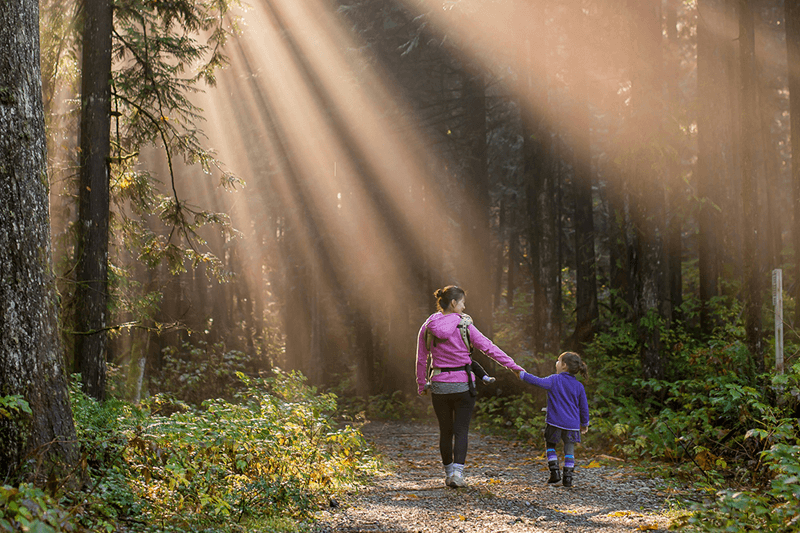 Woman and child walking in forest with sun shining through the trees
